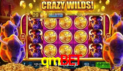 Exclusive Offers qmbet